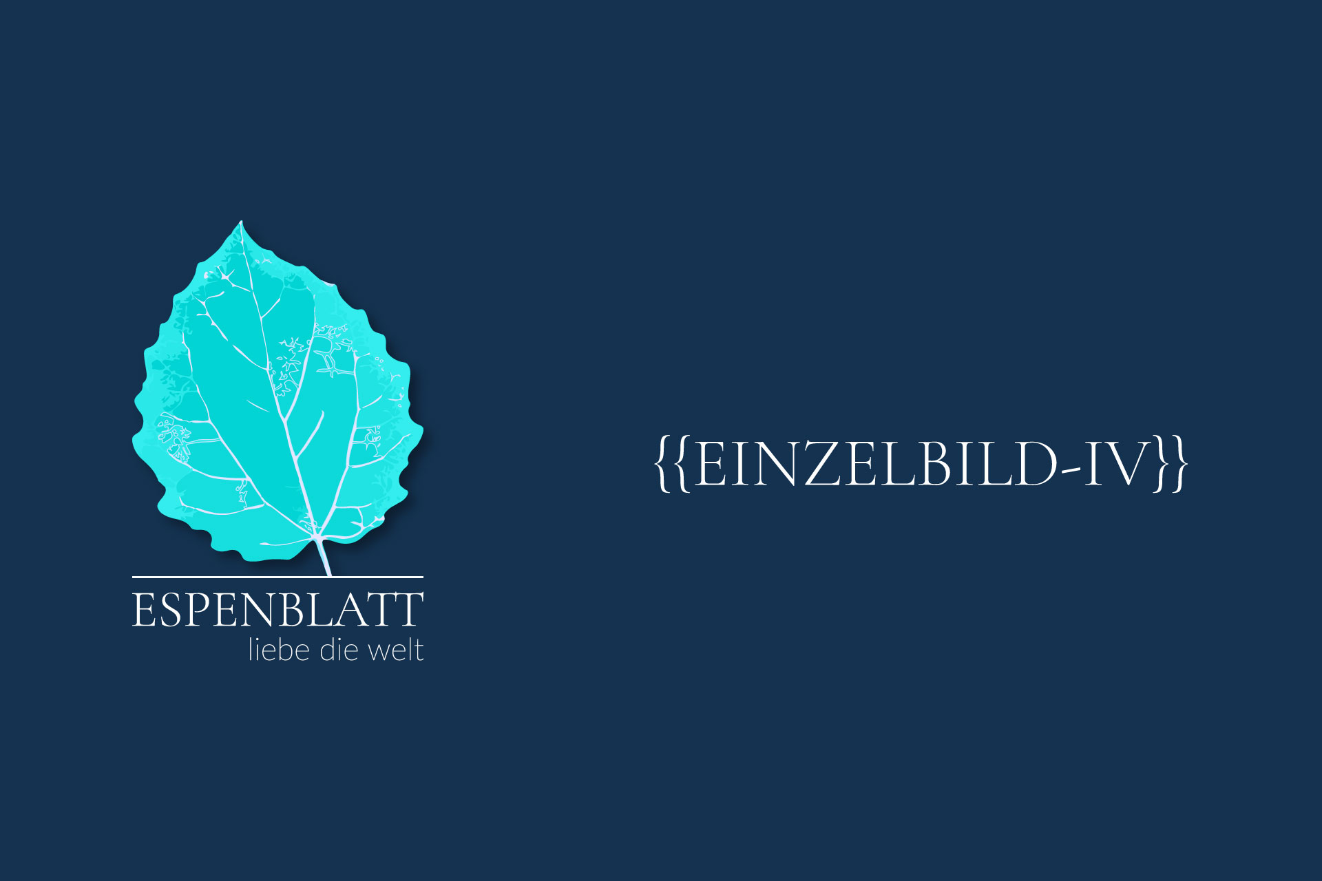 NW-EB-Platzhalter-Einzelbild-4
